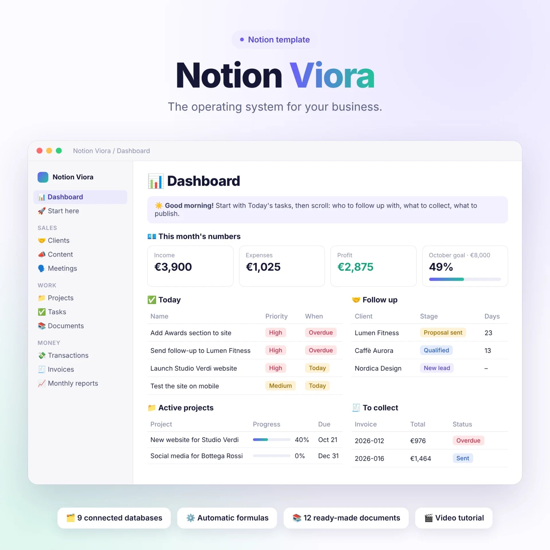 Notion Viora dashboard preview